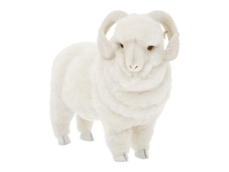 Sheepskin Rams Supply